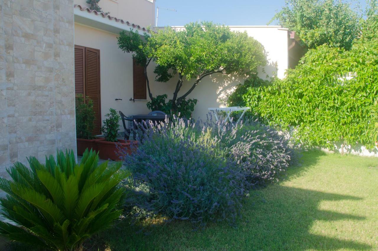 Baia Benessere B&B Eco Vegan Santa Severa Zewnętrze zdjęcie